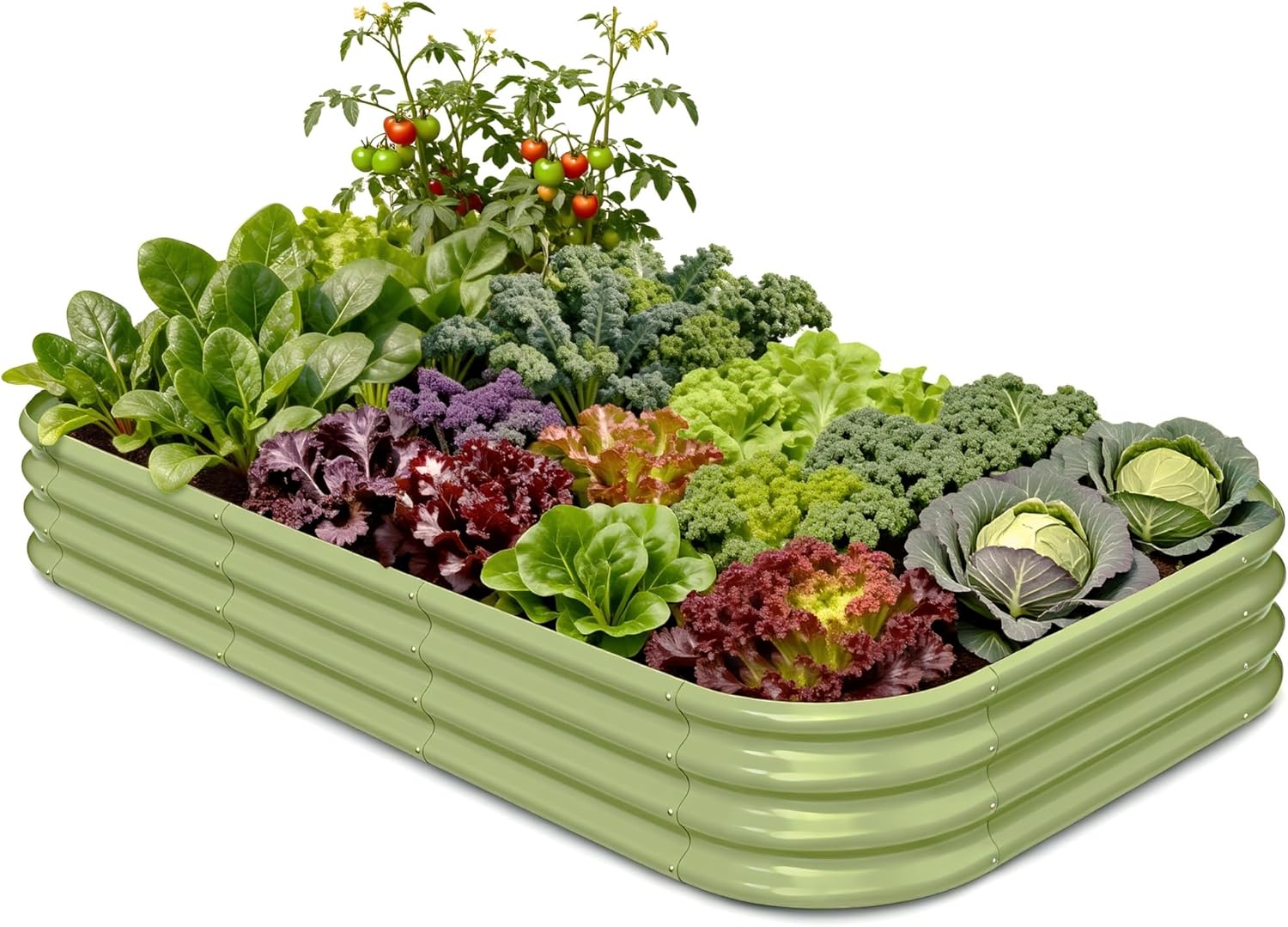 Planter Raised Metal - แปลงปลูกผักยกพื้นแบบชุบสังกะสี ขนาด 8x4x1 ฟุต สูง 12