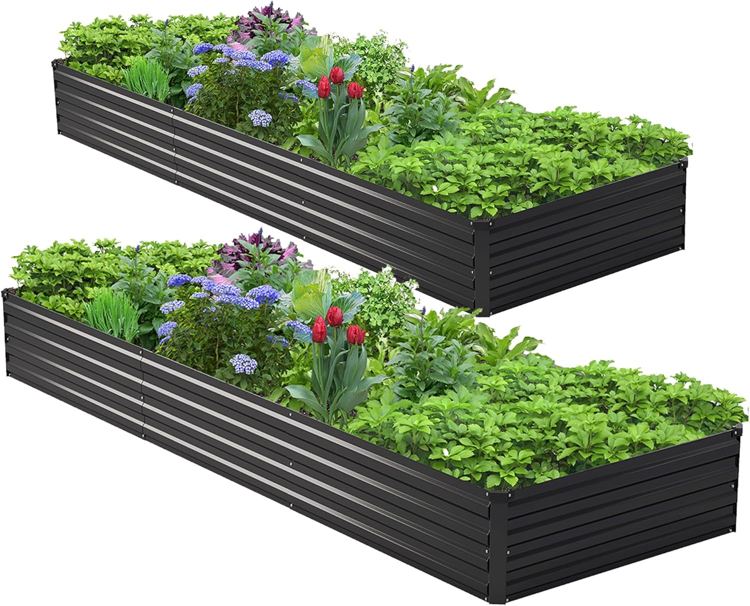 Planter Raised Metal - ชุดแปลงปลูกผักยกพื้นแบบชุบสังกะสี 2 ชิ้น ขนาด 10x3x1 ฟุต,