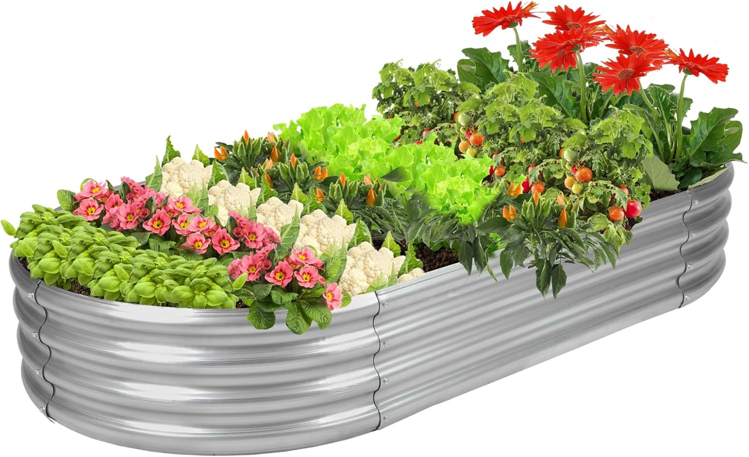 Planter Raised Metal - กระบะปลูกต้นไม้แบบยกพื้น GRS Certified Galvanized Planter Box