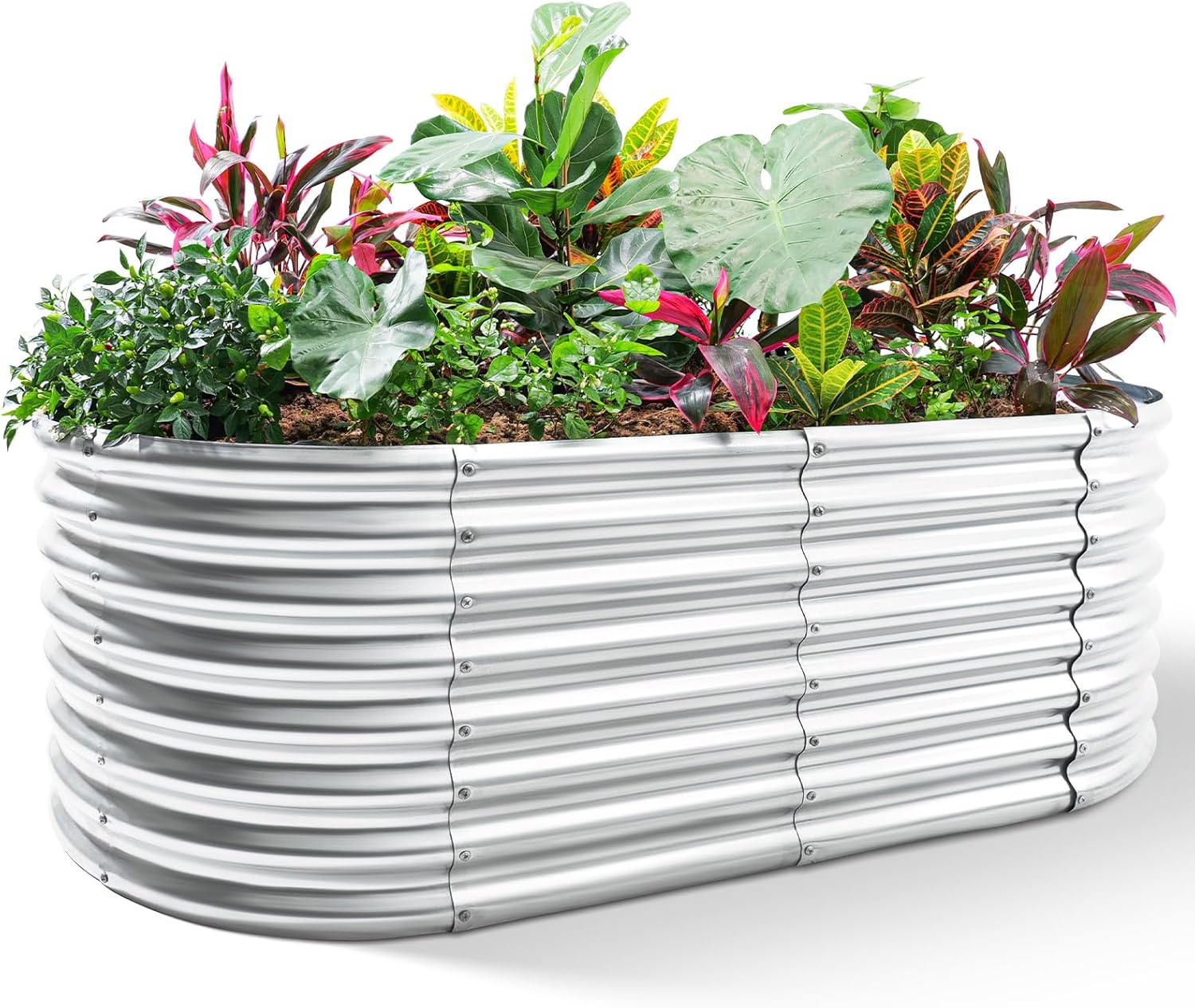 กระบะปลูกผักยกพื้นแบบชุบสังกะส - Planter Raised Metal บทวิจารณ์และราคา
