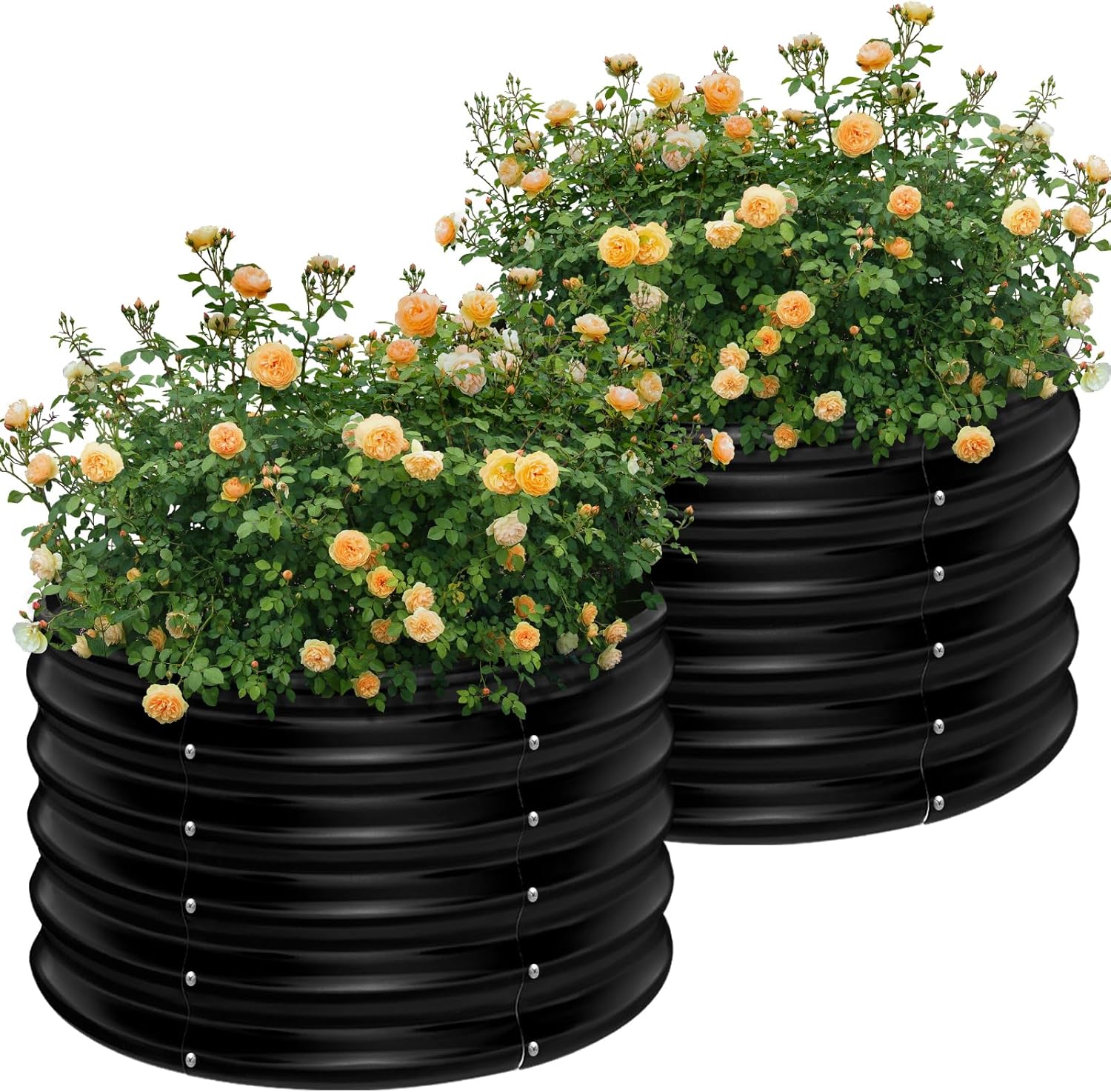 กระถางปลูกผักยกพื้นทรงกลมชุบสั - Planter Raised Metal บทวิจารณ์และราคา