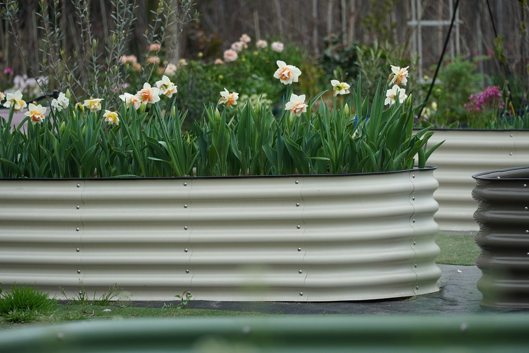 ชุดแปลงปลูกผักยกพื้นขนาดใหญ่แบ - Planter Raised Metal บทวิจารณ์และราคา